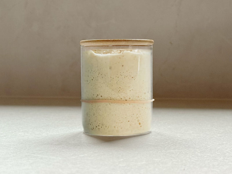 Aktivní kvas ve sklenici připravený na pečení domácího chleba – průvodce krmením kvasu od Mari Peče