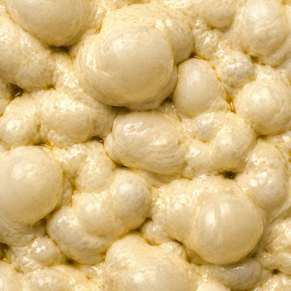 Súkromný kurz pečenia chleba u vás doma – exkluzívne s Mari