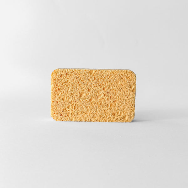 Prírodná huba z drevenej buničiny – 11 × 7 × 2 cm, silná a savá