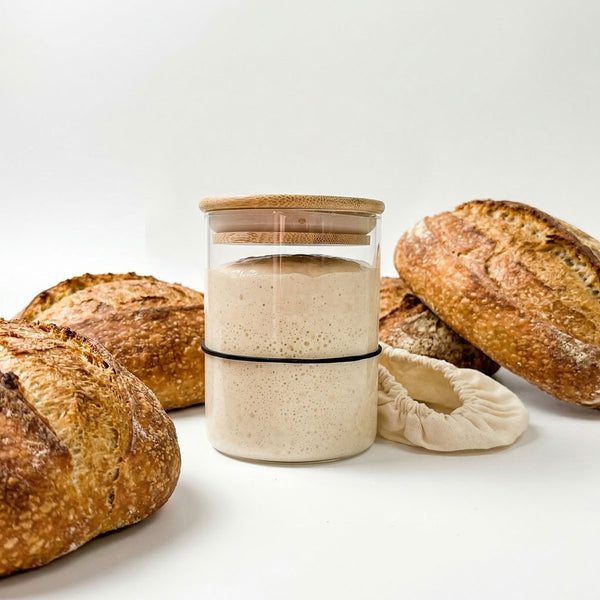 Sada na přípravu kvasu