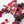 Wild Joys: dried edible flowers for cakes